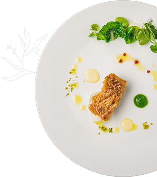 料理イメージ 白皿