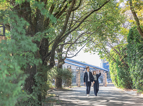 アクセストップイメージ